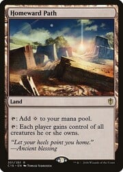 Homeward Path 301