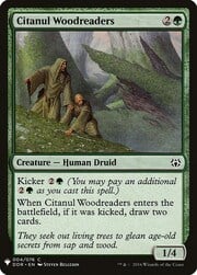 Citanul Woodreaders 004