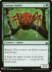 Canopy Spider 191