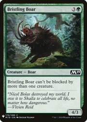 Bristling Boar 170