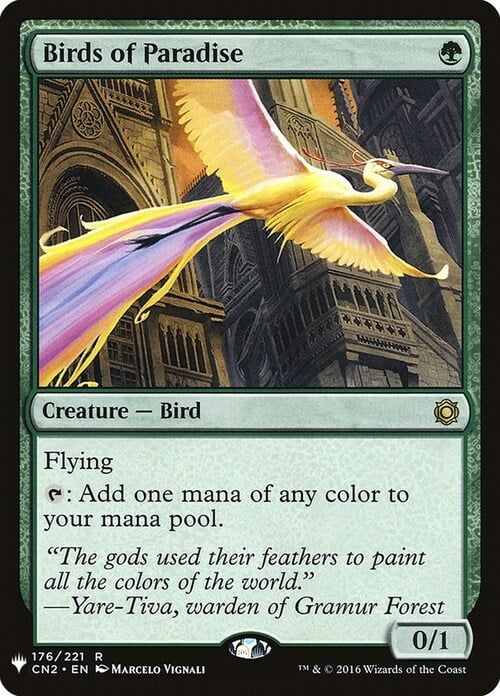 Birds of Paradise Card Front