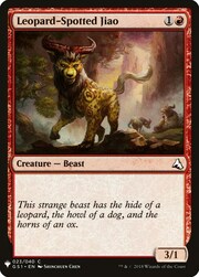 Leopard-Spotted Jiao 023
