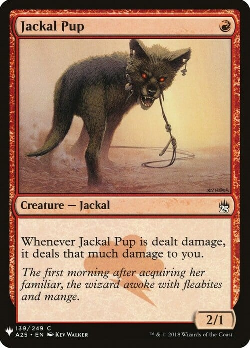 Jackal Pup Card Front