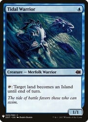 Tidal Warrior 020