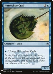Horseshoe Crab 061