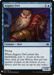 Augury Owl 014