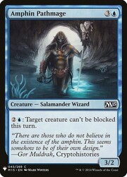 Amphin Pathmage 045