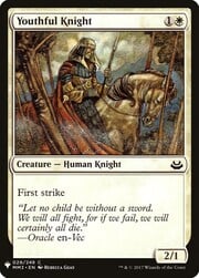 Youthful Knight 029