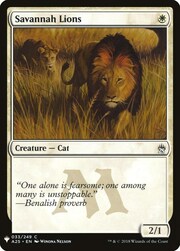 Savannah Lions 033