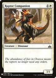 Raptor Companion 019