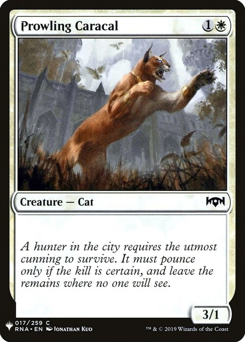 Lince in Agguato Card Front