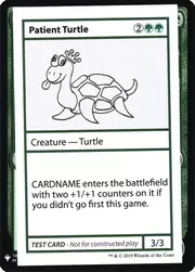 Patient Turtle 082