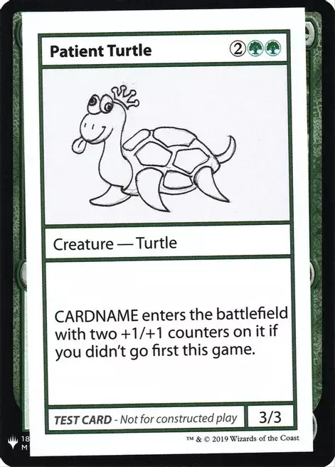 Patient Turtle Card Front
