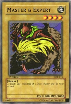 Master & Expert Card Front
