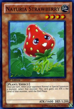 Naturia Strawberry Card Front