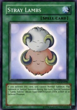 Stray Lambs Card Front