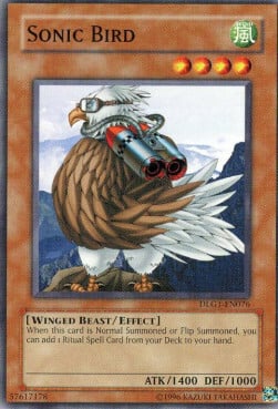 Sonic Bird Card Front