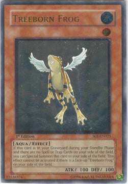 Treeborn Frog Card Front