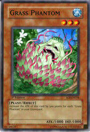 Grass Phantom · Common 031