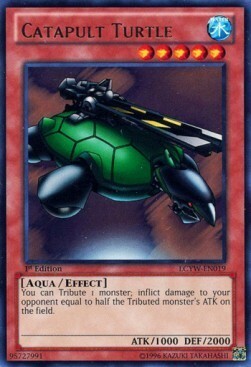 Tartaruga Catapulta Card Front