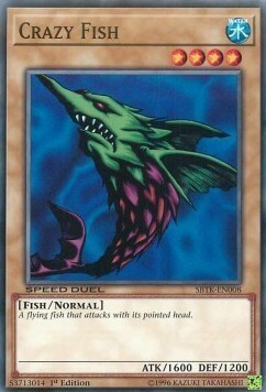 Crazy Fish Card Front