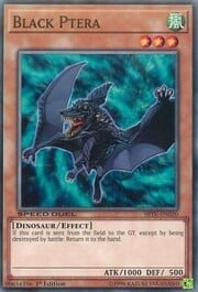 Black Ptera · Common 020