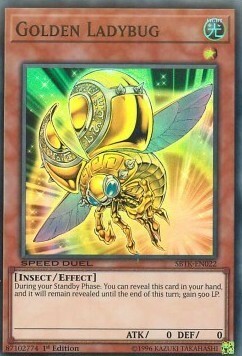 Coccinella Dorata Card Front