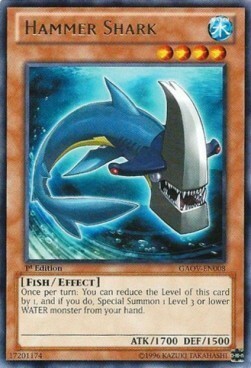 Hammer Shark Card Front