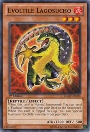 Evoltile Lagosucho · Common 026