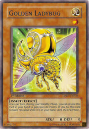Golden Ladybug · ©1996  036