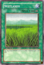 Wetlands · ©1996  054