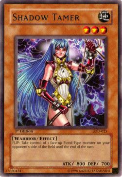 Shadow Tamer Card Front