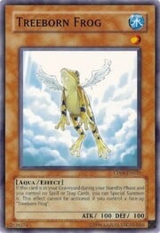 Treeborn Frog · Common 020