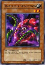 Rafflesia Seduction · Rare 020