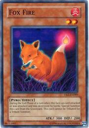 Fox Fire · Common 089