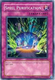 Spell Purification · Common 118