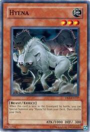 Hyena · Common 137