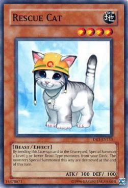 Rescue Cat Card Front