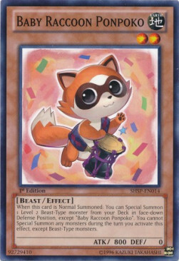 Baby Raccoon Ponpoko Card Front