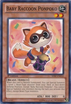 Baby Raccoon Ponpoko Card Front