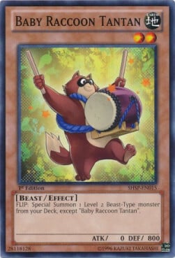 Baby Raccoon Tantan Card Front