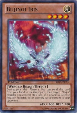 Bujingi Ibis Card Front