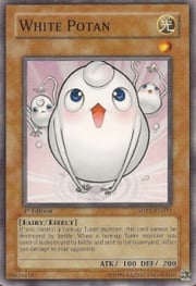 White Potan · Common 033