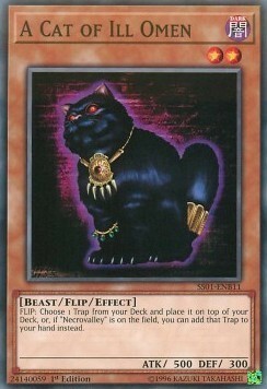 A Cat of Ill Omen Card Front