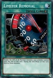 Limiter Removal · Common 017