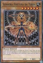 Fortune Lady Earth · Common 029