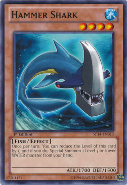 Hammer Shark Card Front