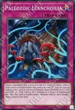 Paleozoic Leanchoilia Card Front