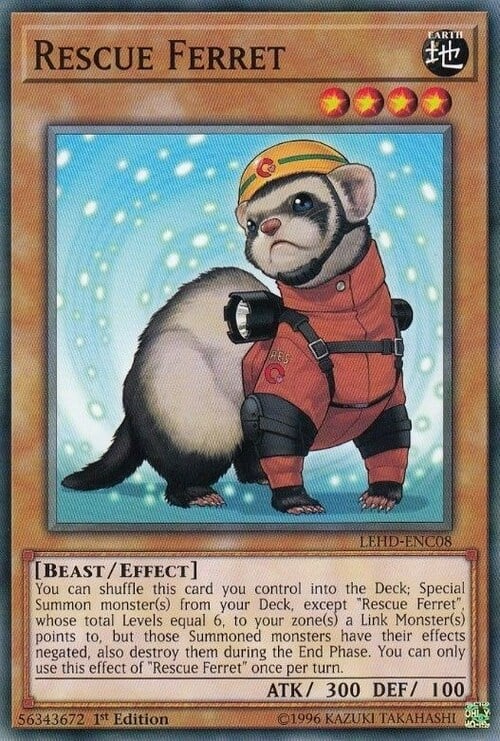 Rescue Ferret Card Front