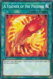 A Feather of the Phoenix · Common 026